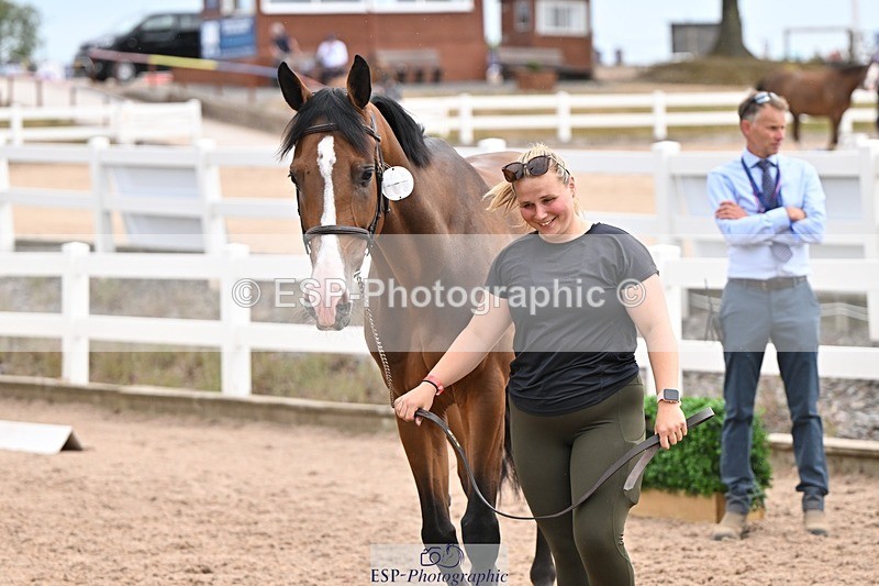 250716-151336-01794 - Trot Up 2.30 to 3.30