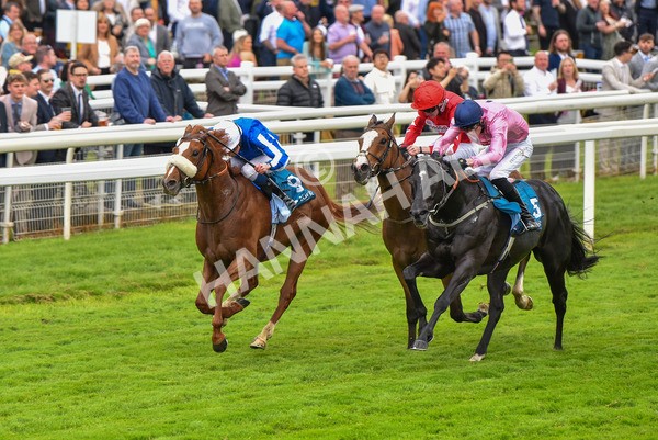 190523-Race 3-Marhaba The Champ-0640 - Race 3 3.00pm Knights Solicitors Handicap