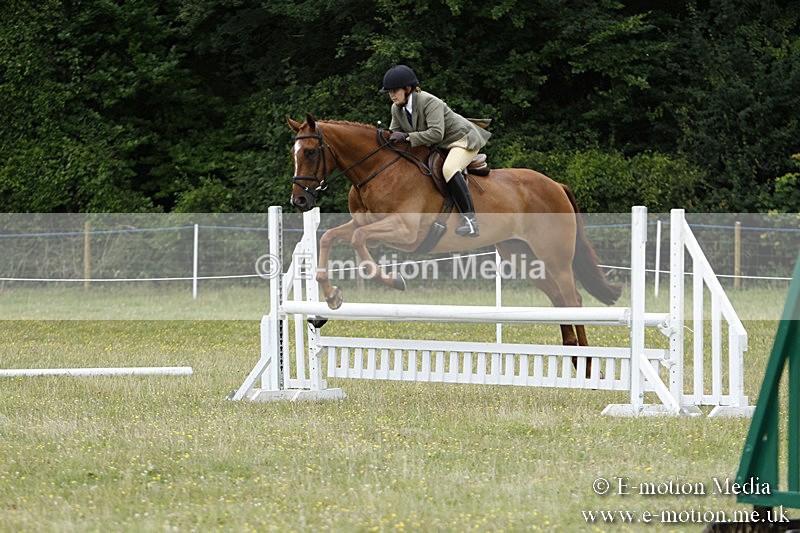 BVR160717-1714 - Ring 3 BVRC Show 16/07/17