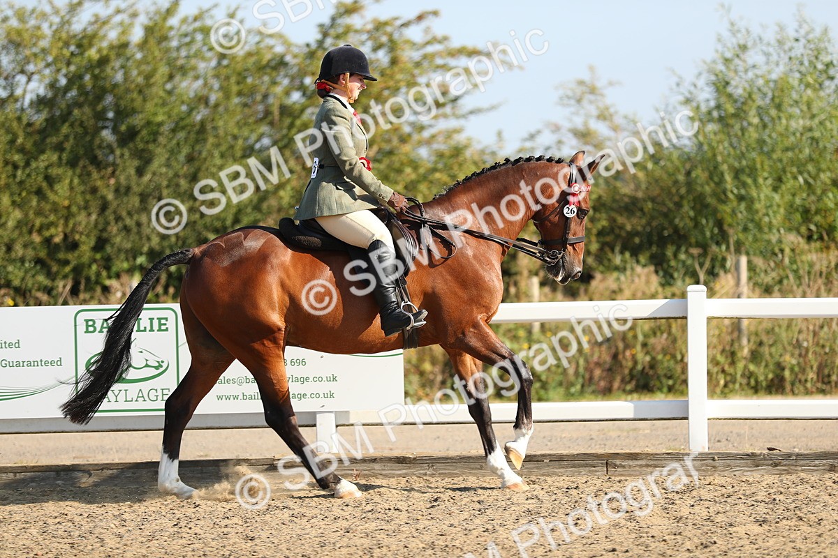 SBM_01260 - Class 42 Ridden Veteran