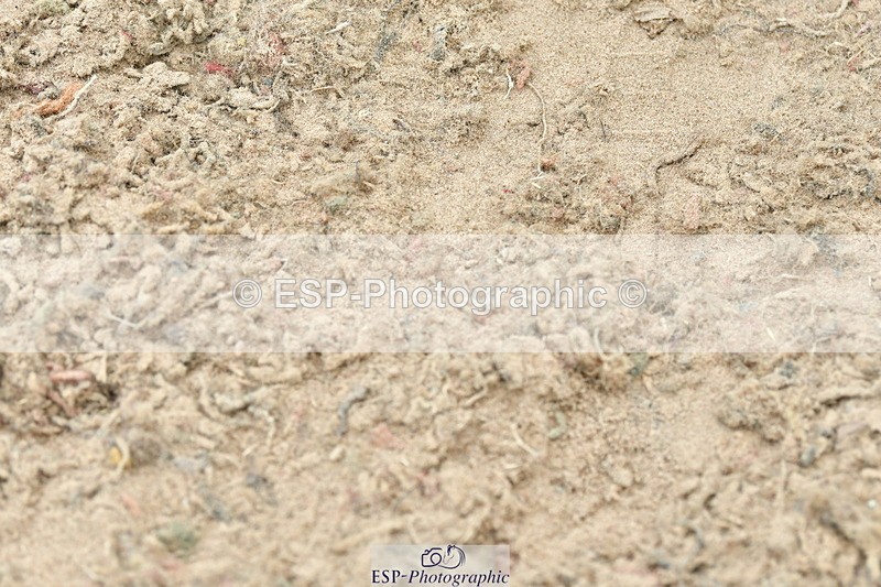 230721A-141326-06798 - Cls 22, 1 Star Gold 1.30m