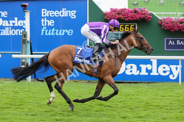 yr19082021r4-47 - Race 4 3.35pm Darley Yorkshire Oaks (British Champions Series race)