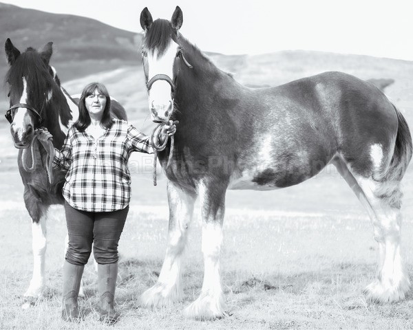 jane horses-12 - Janes Horses