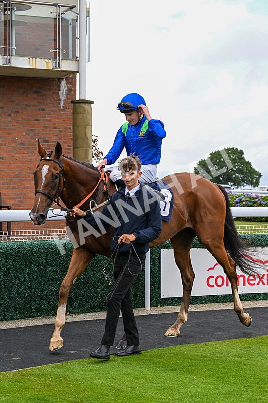 150725-Race 5-Sax Appeal-0807 - Race 5