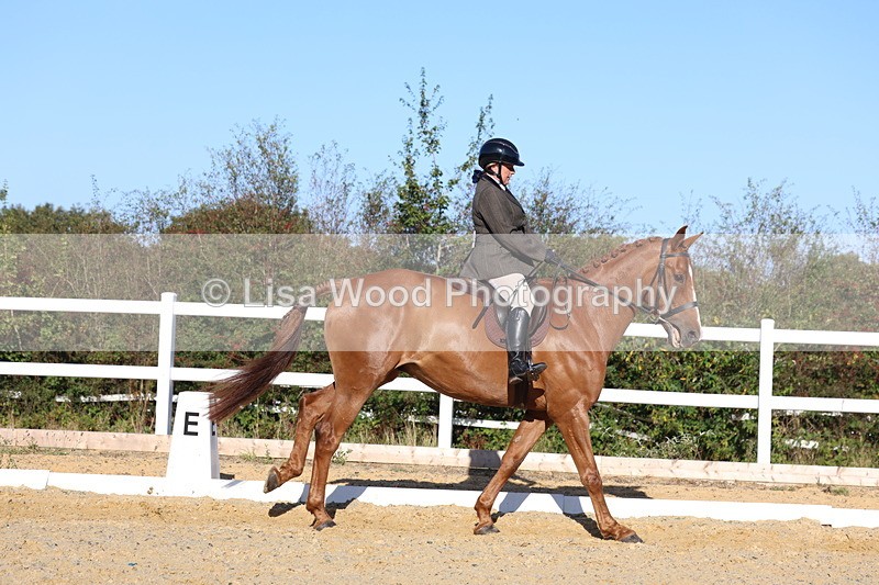 3E7A5182 - Class 7: Novice Ridden Hunter/Hack/RH/Cob