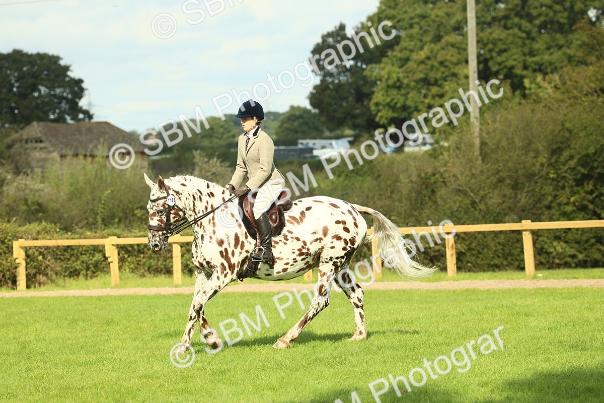 SBM_62472 - S62 - Foreign Breeds Ridden