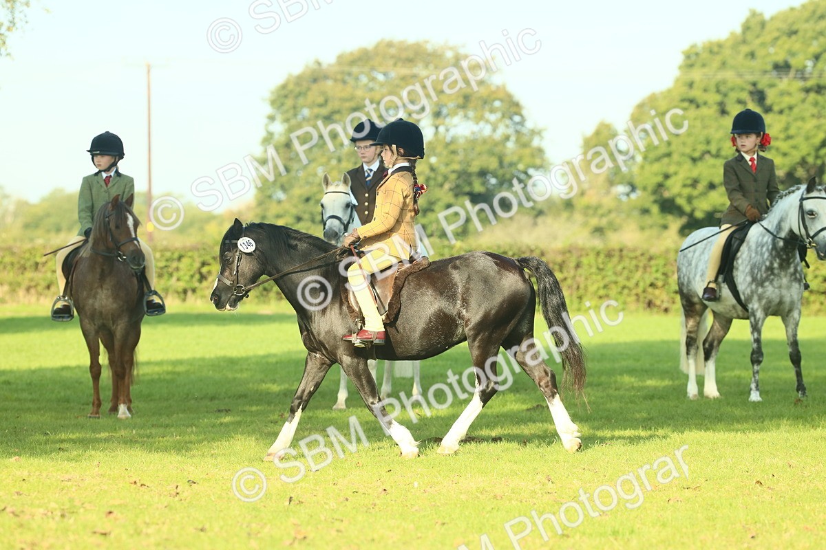 SBM_59187 - S38 - Starters Ridden Showing