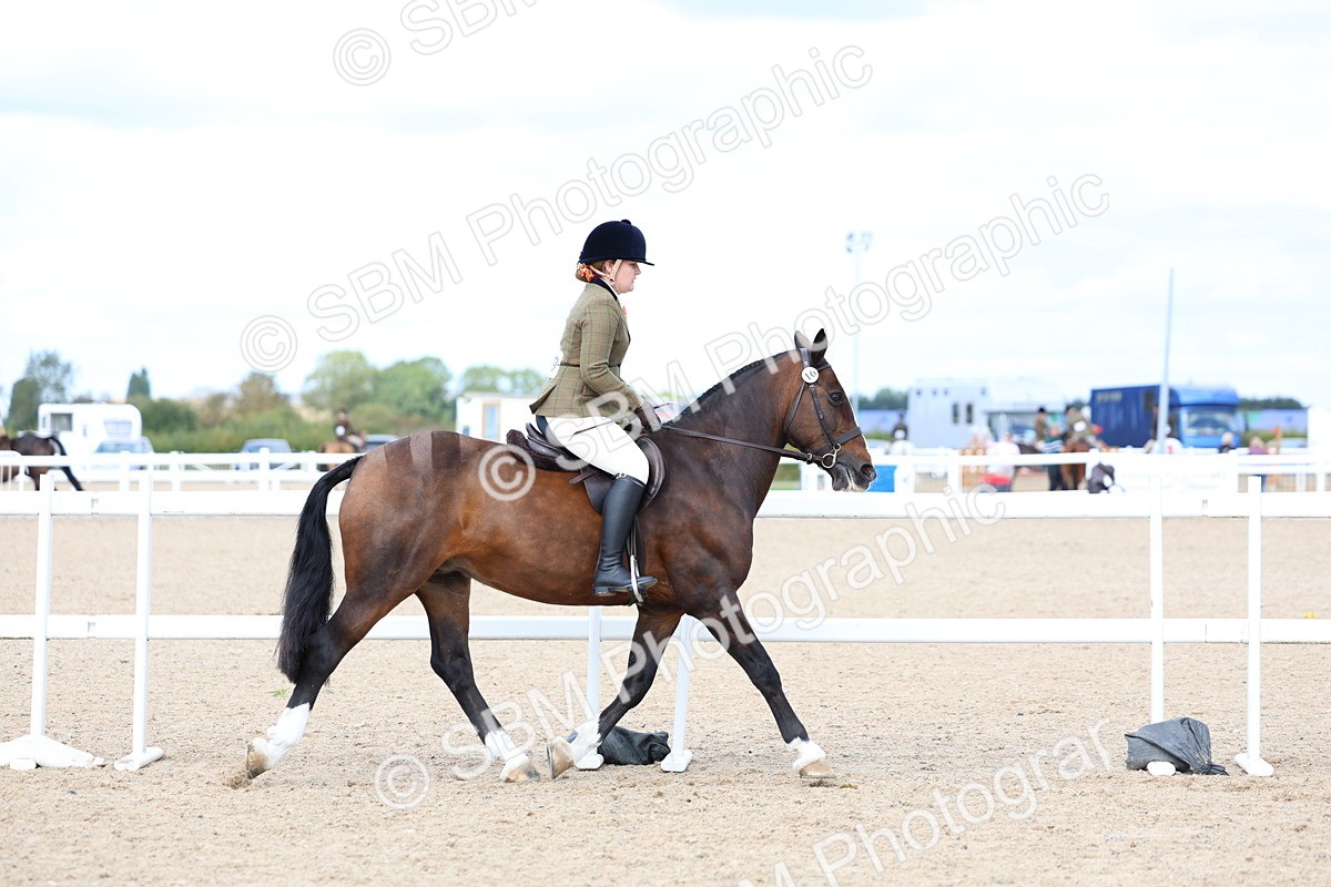 SBM_15774 - Class 314 - Family Horse - Pony