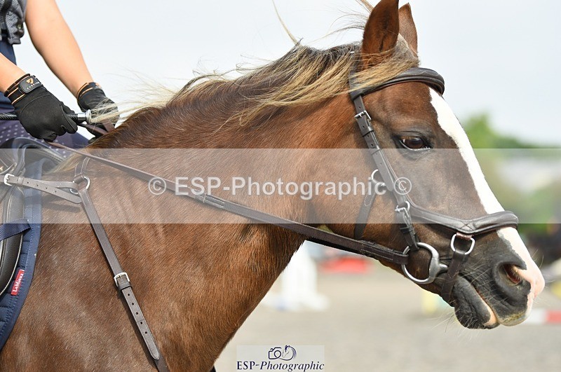 230817-101136-01687 - Kay's 2nd Group - Arena