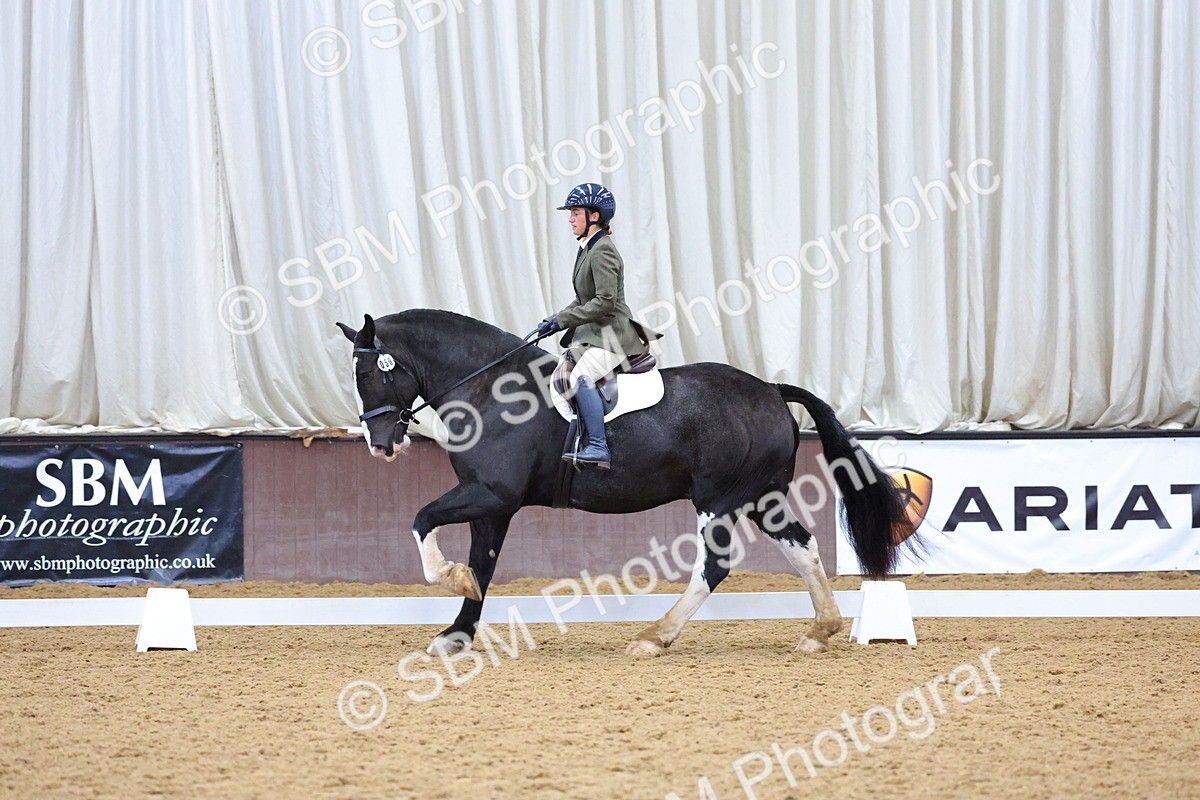 SBM_000652 - Class 3 - Prelim 2