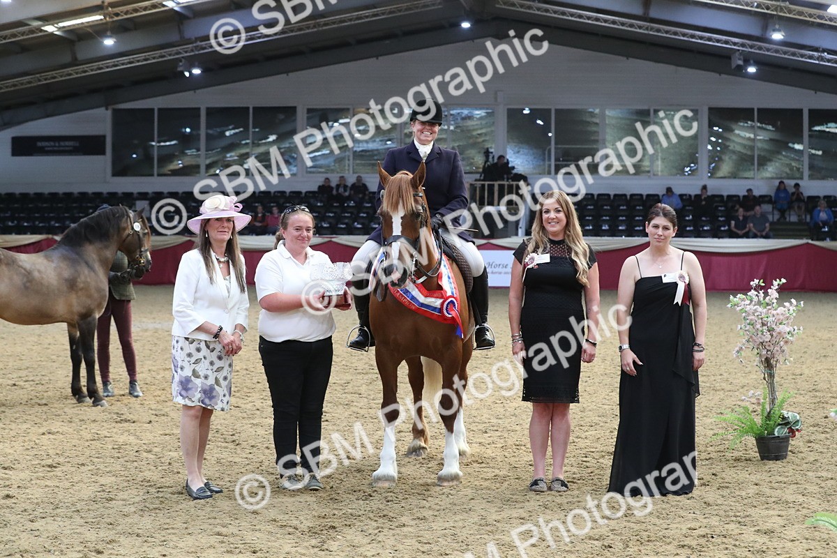 SBM_17207 - M&M Supreme Final Champ