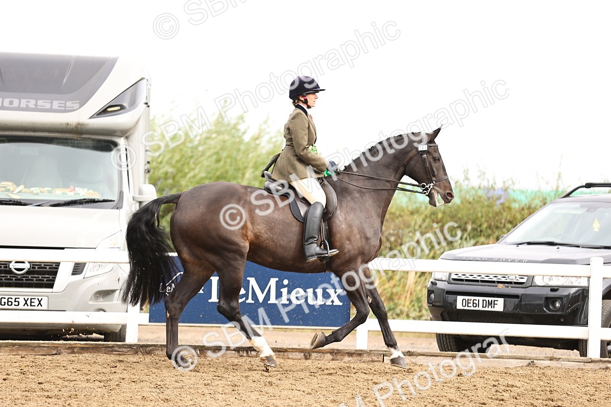 SBM_00702 - Class 53 - Ridden Competition Horse Pony
