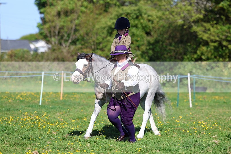 3E7A8885 - Class 2: Lead rein