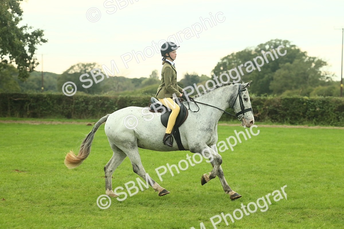 SBM_73943 - S 61 - Show Pony & Show Hunter Pony Ridden