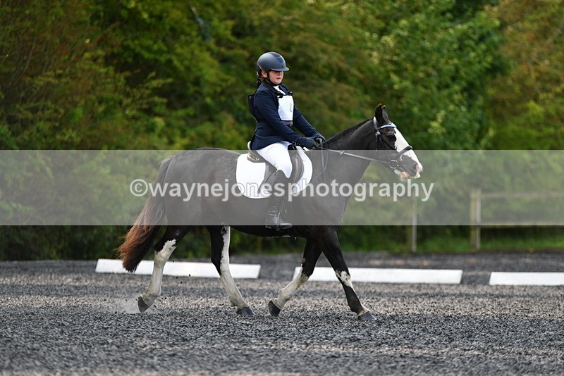 WJ5_9146 - Time 10:10 to 10:47