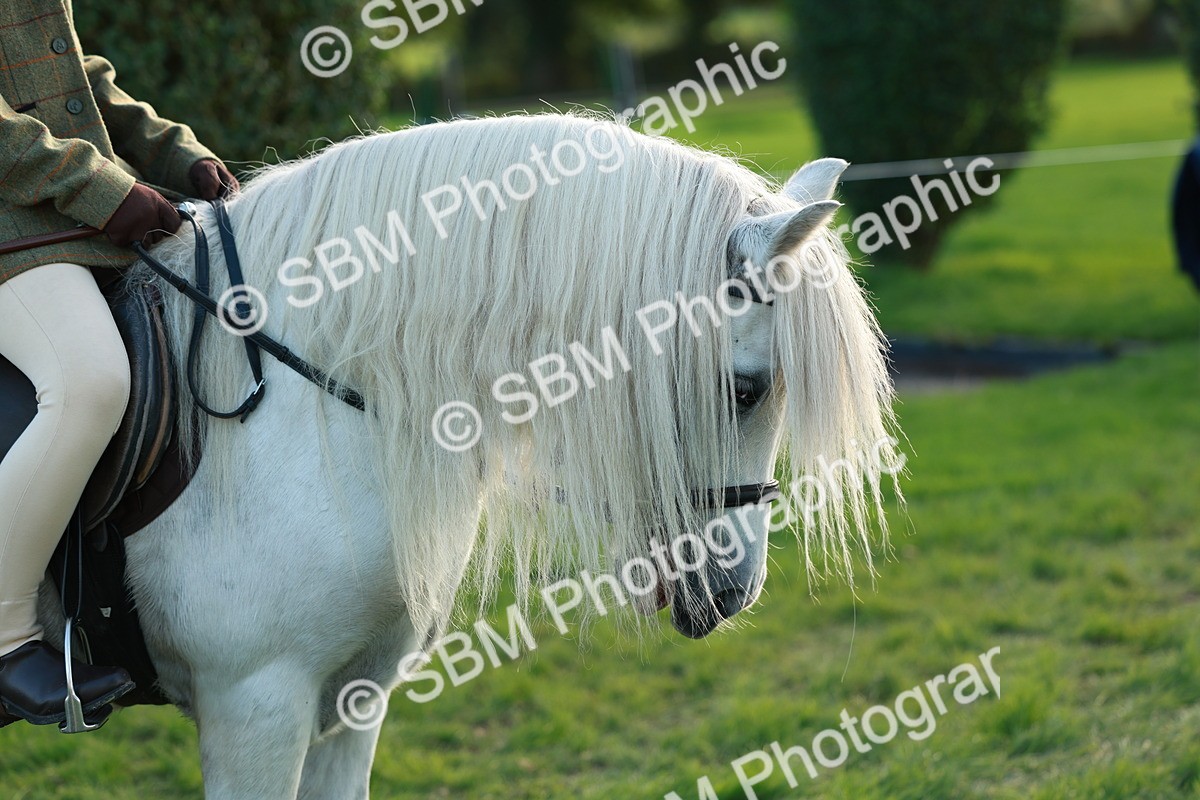SBM_28790 - S7 - Novice & Newcomer Ridden Pony