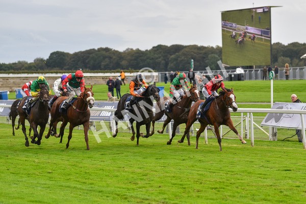 131023-Race 4-Hafeet Alain-9522 - Race 4 3.50pm William Hill Autumn Mile Handicap