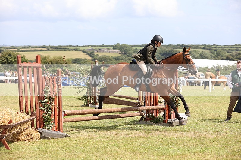 JPP_2073 - Class 19: Working Hunter 60cm