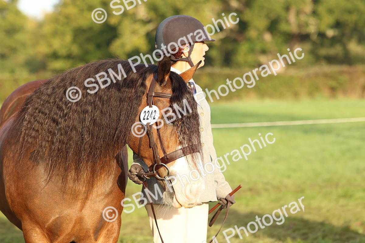 SBM_54547 - S38 - Starters Best Turnout