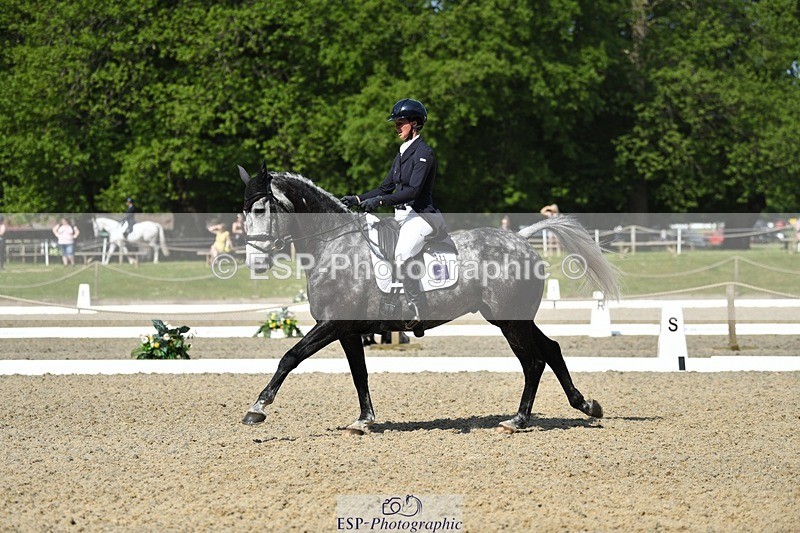 230525-102101-01689 - 311-BALLYCOSKERRY_REGAL_DIAMOND-Hollie_Swain-WEDTrotUp+DR
