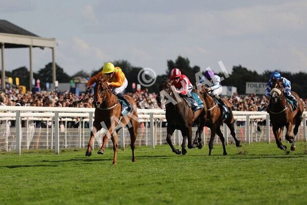 yr20082022r6-10 - Race 6 4.45 pm Julia Graves Roses Stakes