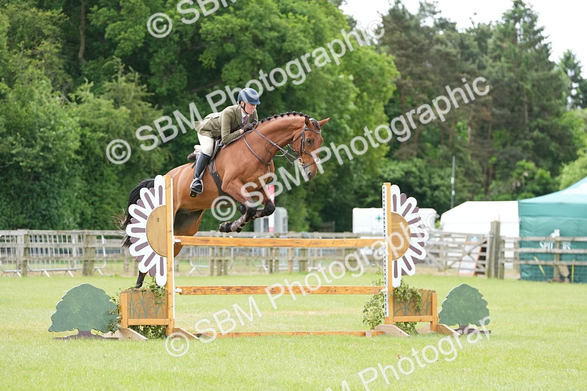 SBM_14923 - Class 100-102 - RIHS Working Hunter