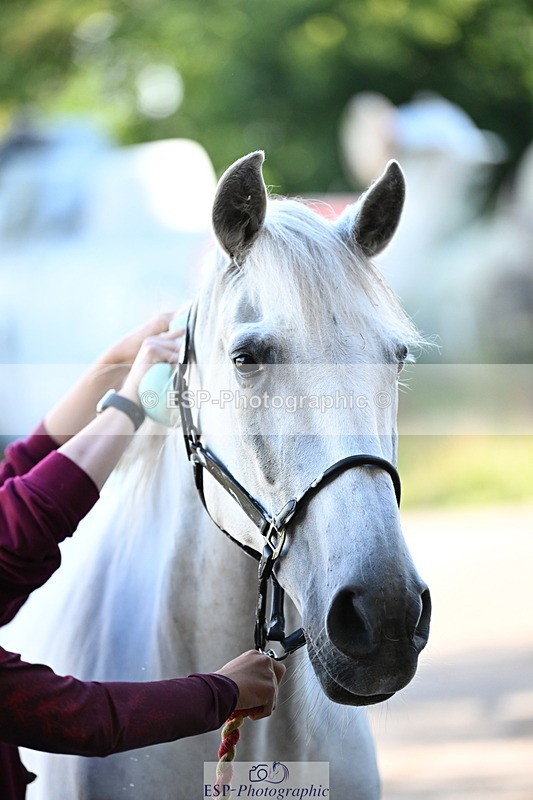 240809A-085848-00039 - Stable Shots