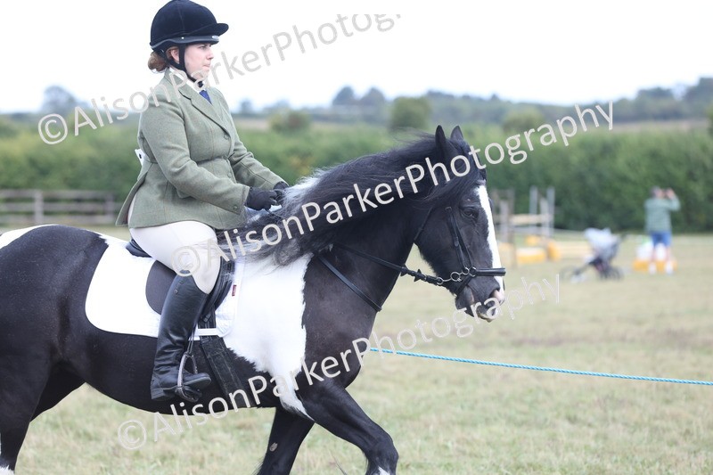 20250831-4200 - Class 20 - Ridden Coloured