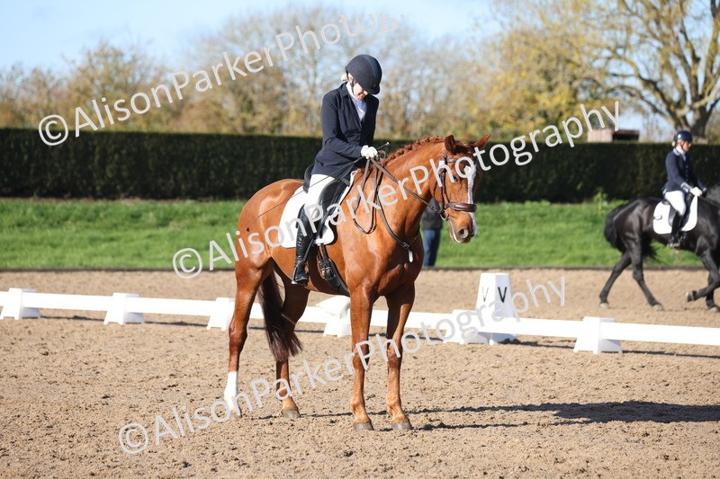 20251102-0546 - Class 3 - Novice 5