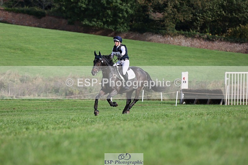 231021-143044-19942 - 464-IMPERIAL.TANGLE-Deborah.Burrell-SC+XC