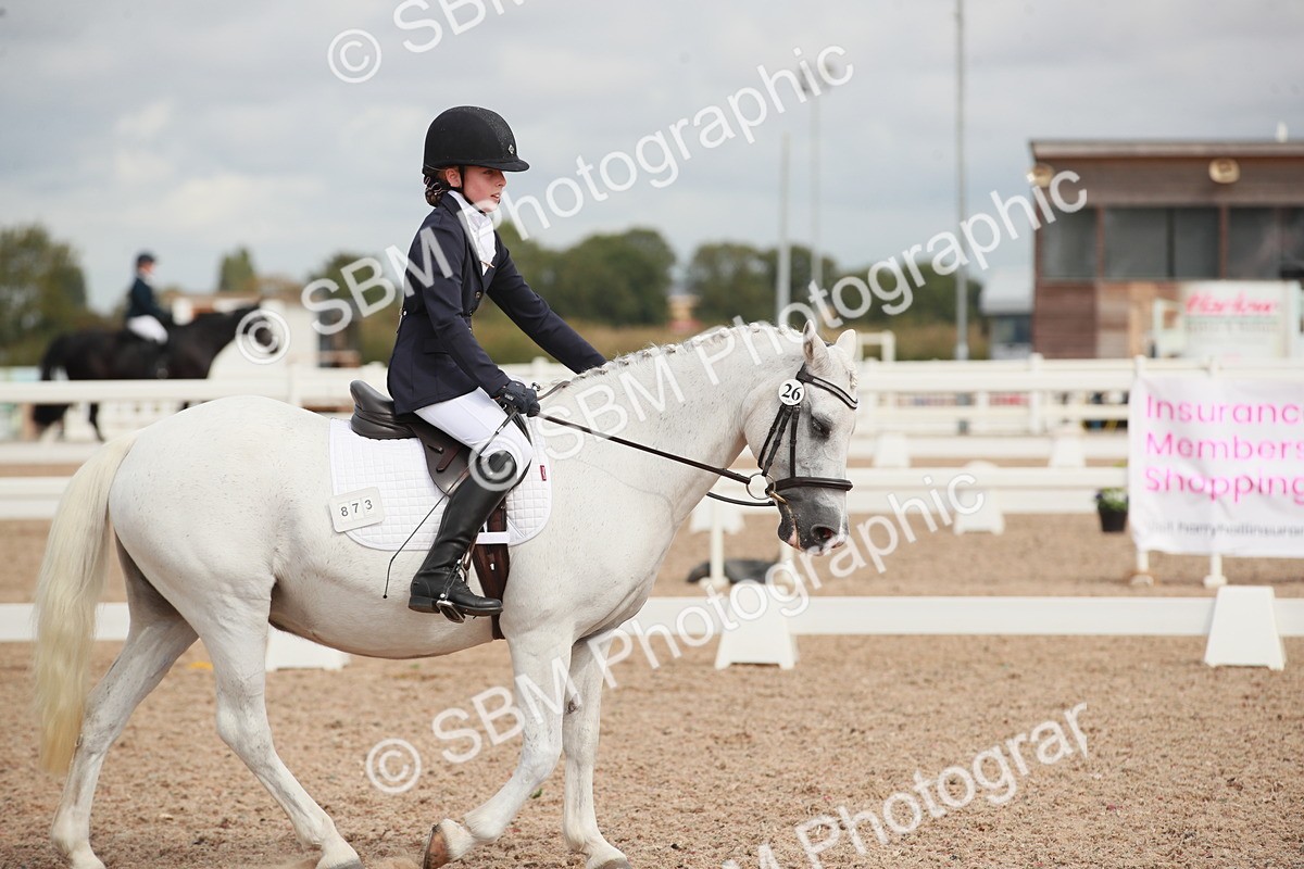 SBM_03994 - Class 31 - Prelim 1