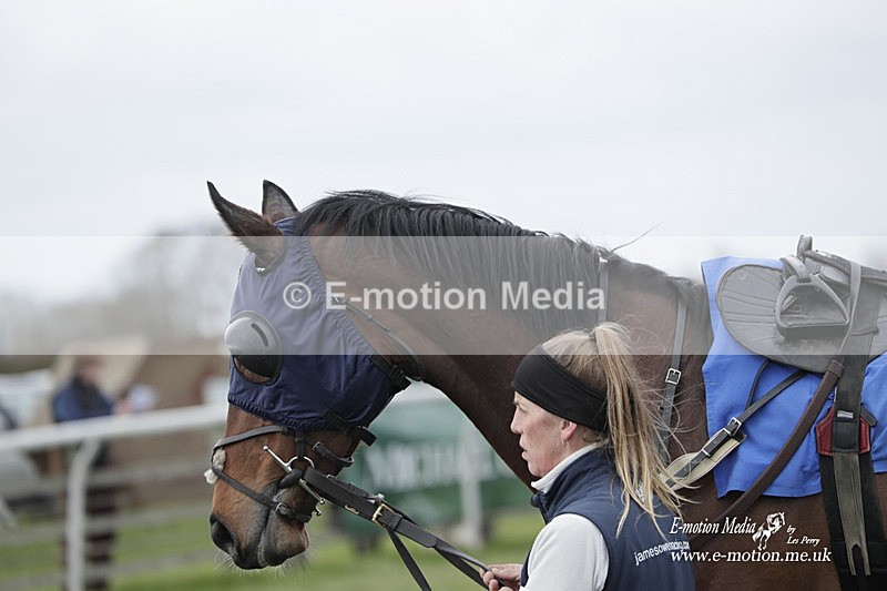 PtP 190323 287 - Oakley Hunt Point-to-Point Brafield-On-The-Green 19/03/23