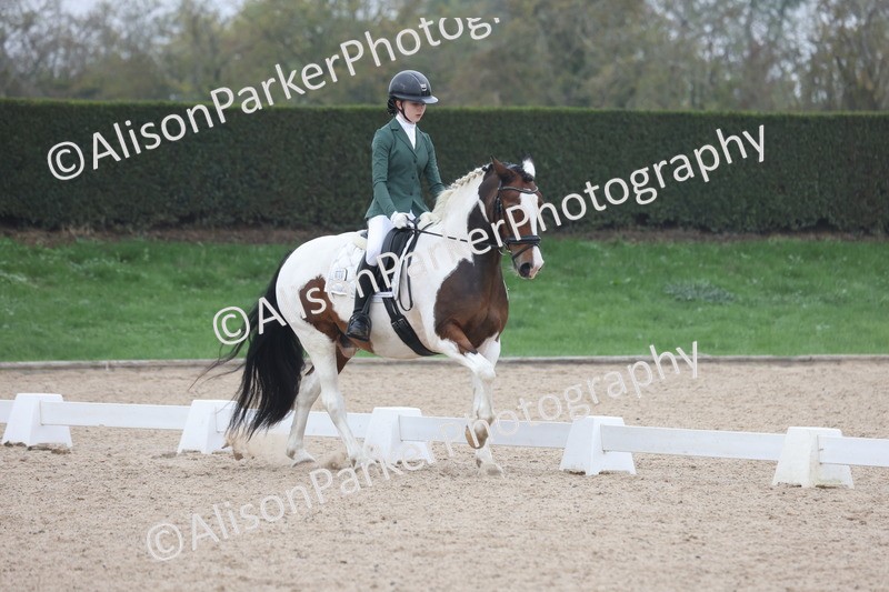 20251012-0588 - Class 5 - Elementary 5