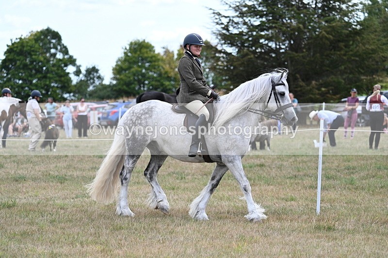 WJ7_4687 - Class 12 Ridden Cob
