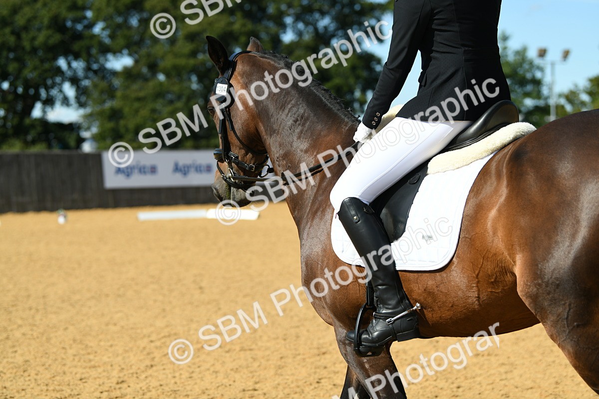 SBM_22804 - D13 - Grand Tour Championship - Prelim 12