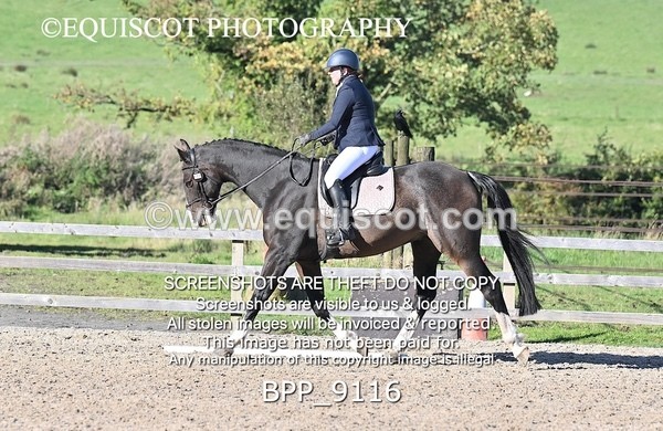 BPP_9116 - SHORT ARENA PRELIM 1