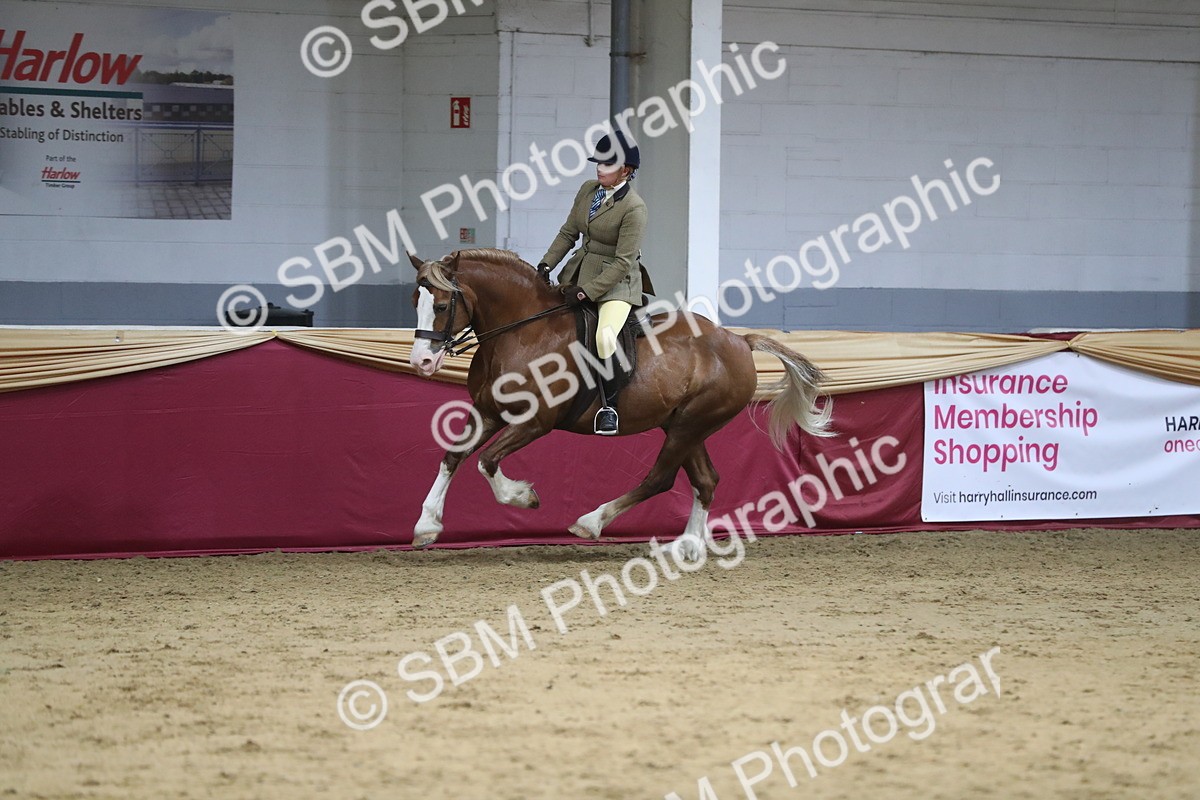SBM_08415 - Class 11R Regional Ridden Veteran