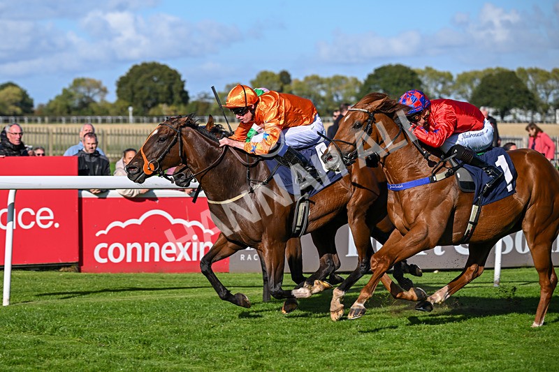 230925-Race 4-Elegant Erin-0687 - Race 4