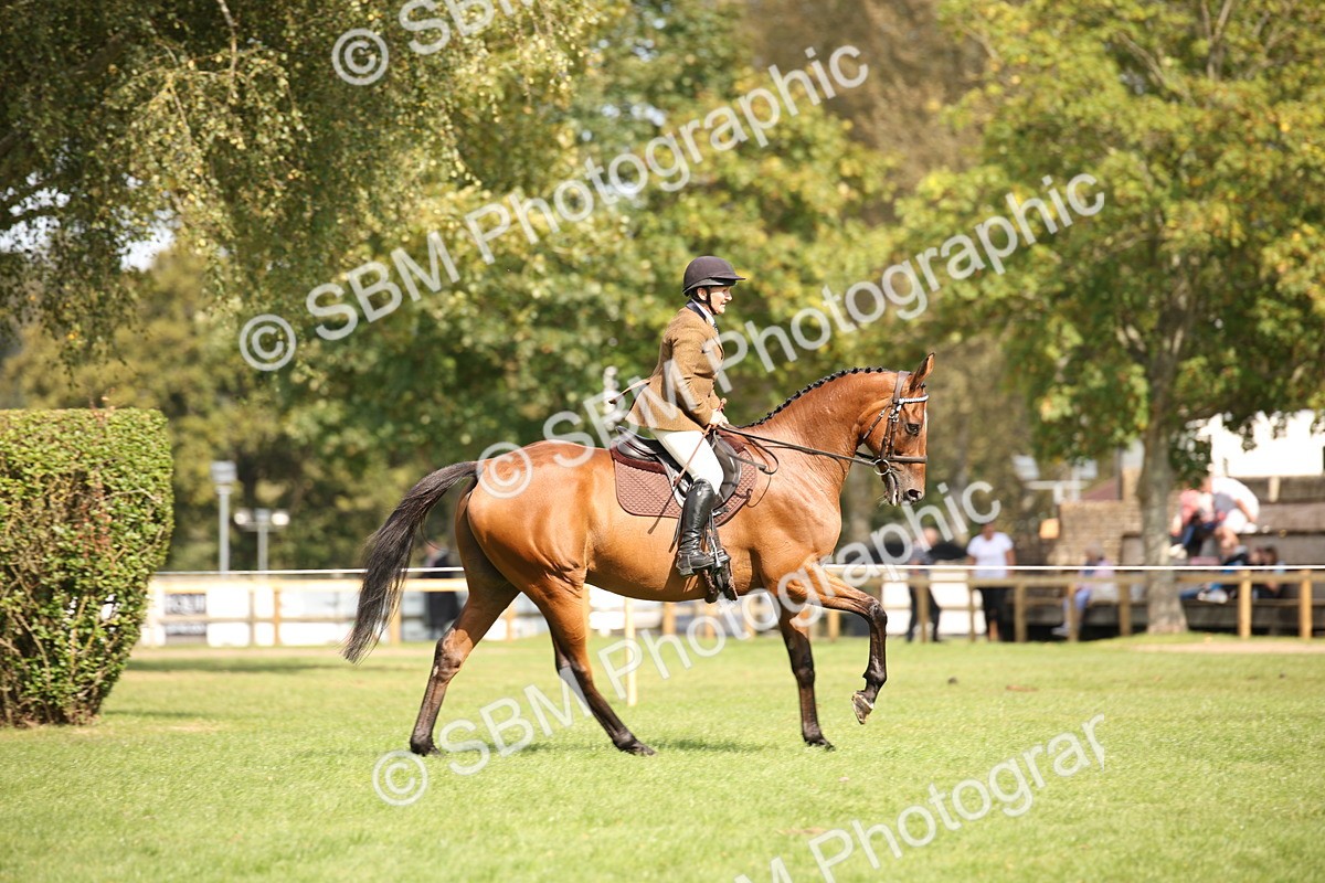 SBM_65966 - S64 - Riding Horse & Hack & Thoroughbred Ridden