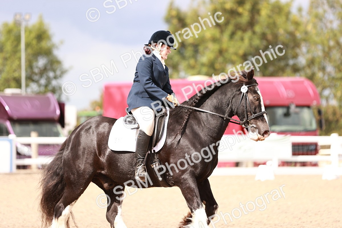 SBM_06210 - Class 37 - Novice 5