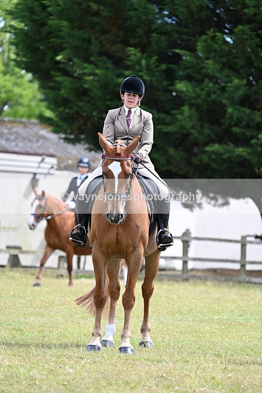 WJ7_9796 - Class 8 Ridden Veterans