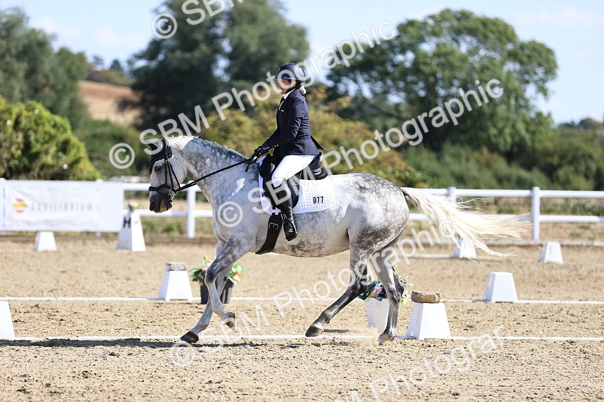 SBM_013138 - Class 2 - P5 Silver  10.03.10.59