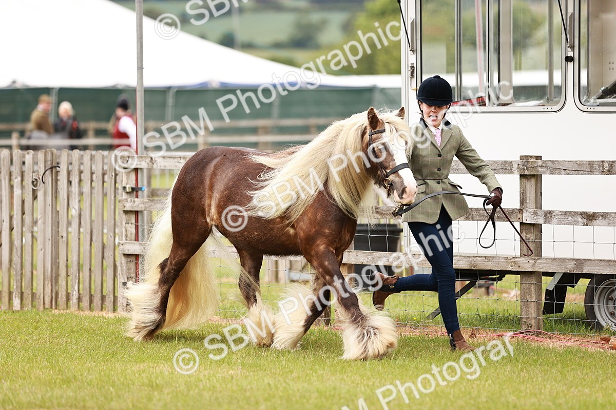 SBM_06026 - Class 39-41 TGCA In Hand and Ridden