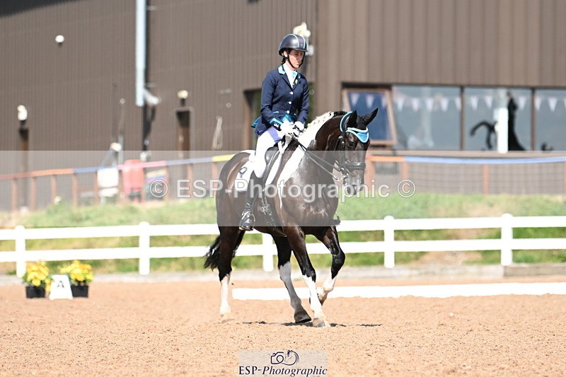 240816A-142137-05564 - 275-Alys.Matravers-Tiger.Mazariti