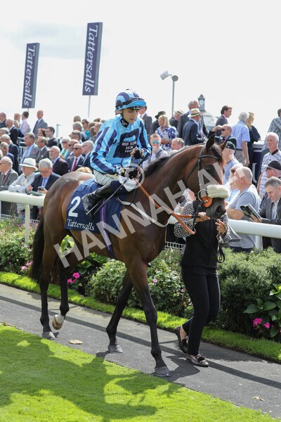 yr17082022r2-6 - Race 2 2.25pm Tattersalls Acomb Stakes