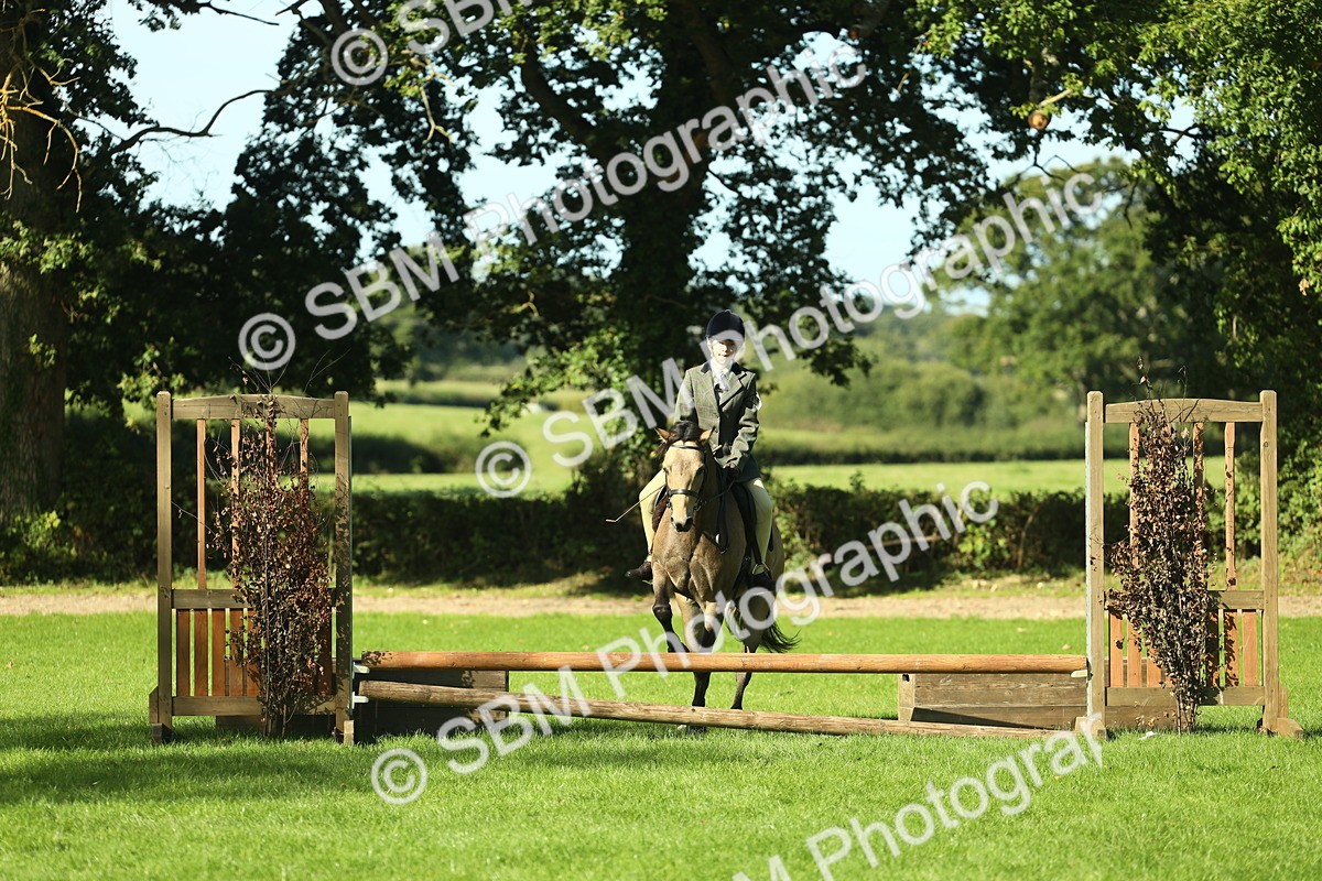 SBM_36502 - S29 - Novice & Newcomers Working Hunter Pony