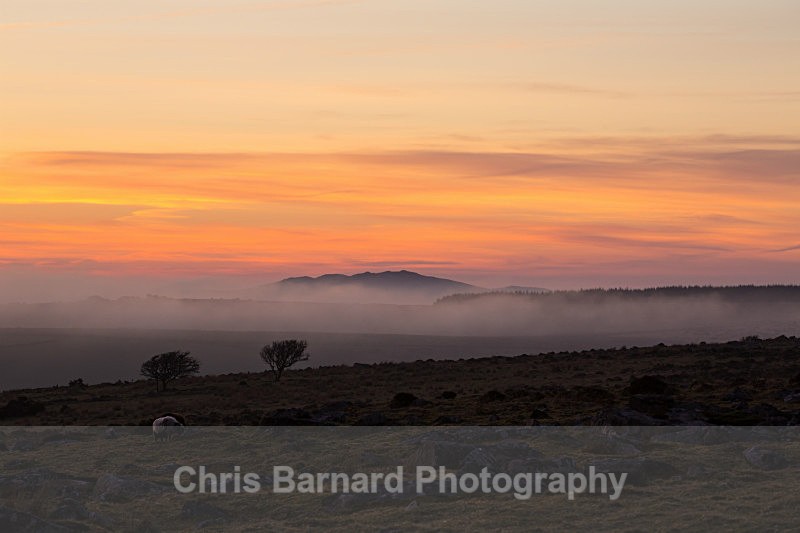  - Bodmin Moor