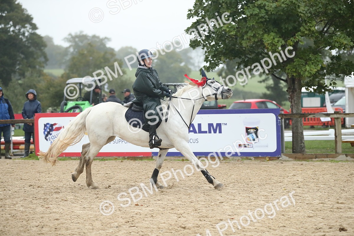 SBM_74363 - Supreme championship Junior Pony 70cm 75cm