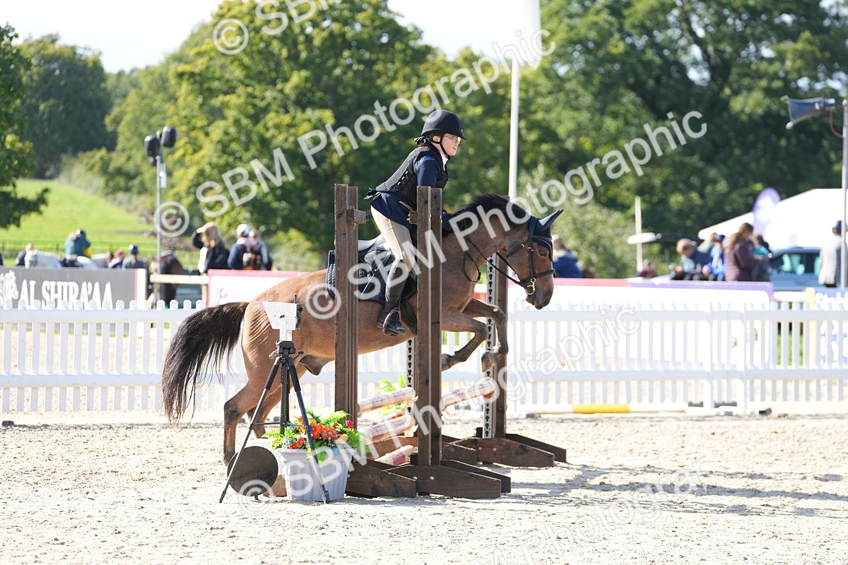 SBM_38331 - J6 - Junior Pony 55cm Championship