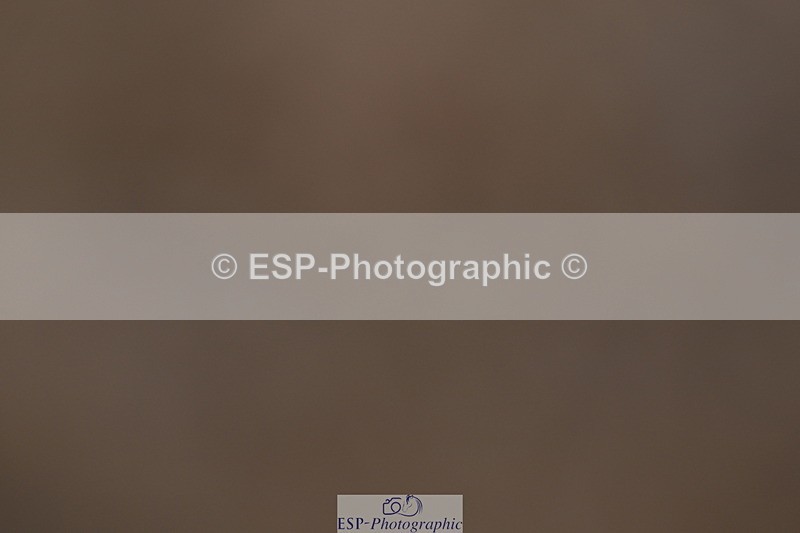 240323A-115759-02739 - DR Novice 34